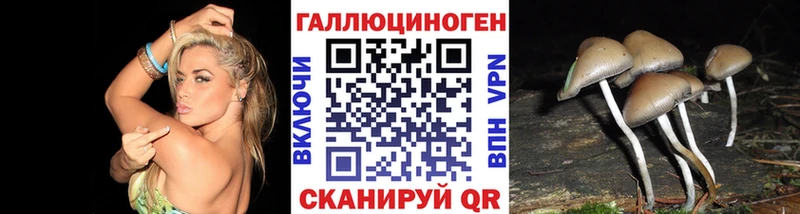 Галлюциногенные грибы Psilocybine cubensis сколько стоит Курганинск