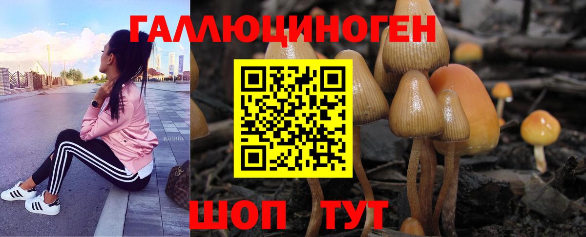 Галлюциногенные грибы прущие грибы Курганинск