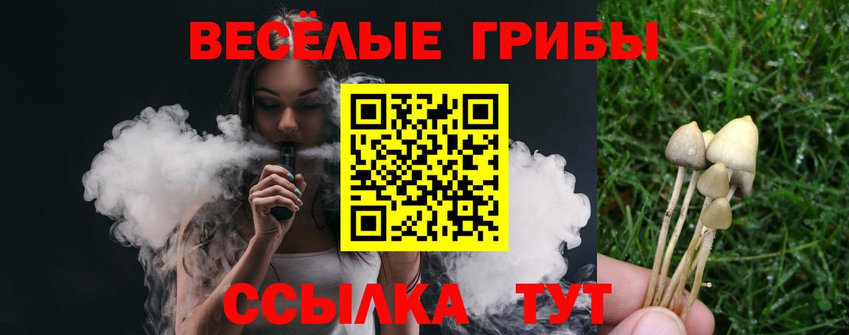 Курганинск  Псилоцибиновые грибы MAGIC MUSHROOMS  Вход с VPN 