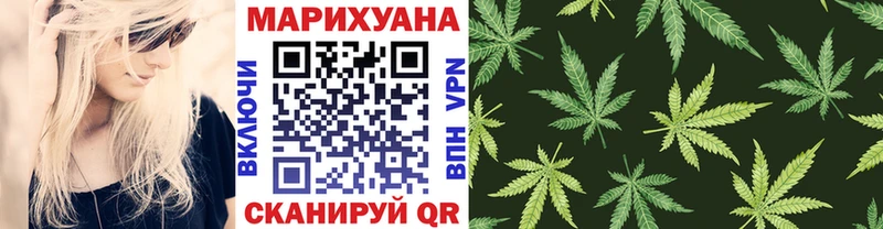 Конопля план  купить   Курганинск 